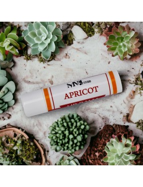 12 Packs Apricot Moisturizing Lip Balm