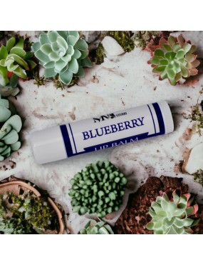 Blueberry Moisturizing Lip Balm