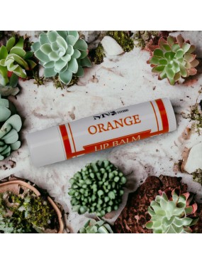 Orange Moisturizing Lip Balm