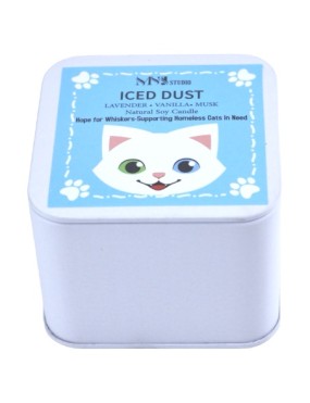 Iced Dust Natural Soy Candle