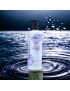 12 Packs Deep Reflection Ultra-Moisturizing Body Lotion